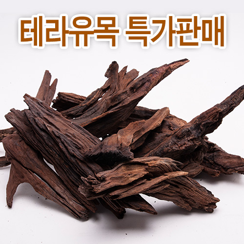 맹그로브유목 특가판매[랜덤발송] (소) [약10~25cm]