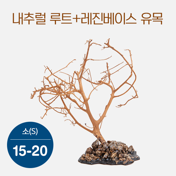 내추럴 루트+레진베이스 유목(소) 15~20cm
