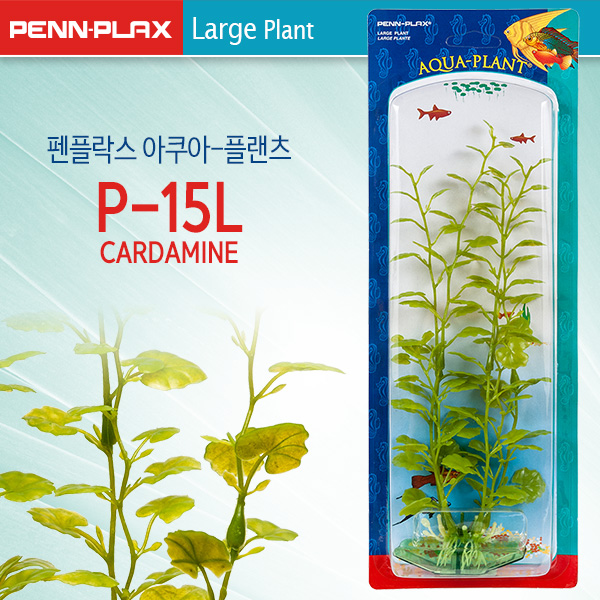 펜플락스 아쿠아-플랜츠 CARDAMINE [P-15L] (Large size)