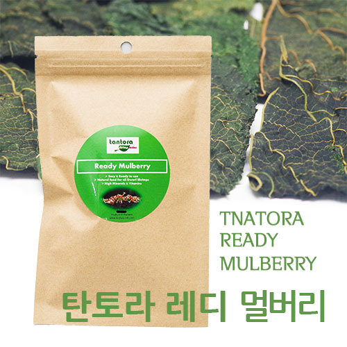 탄토라 레디 멀버리 잎(Tantora Ready Dried Mulberry Leaves 10 Leaves/Bag)
