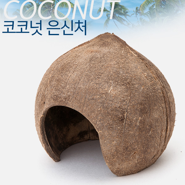 코코넛 은신처(1개)