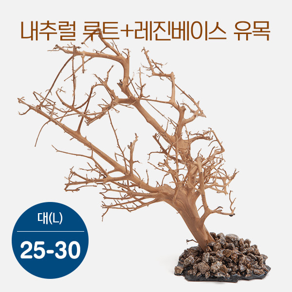 내추럴 루트+레진베이스 유목(대) 25~30cm